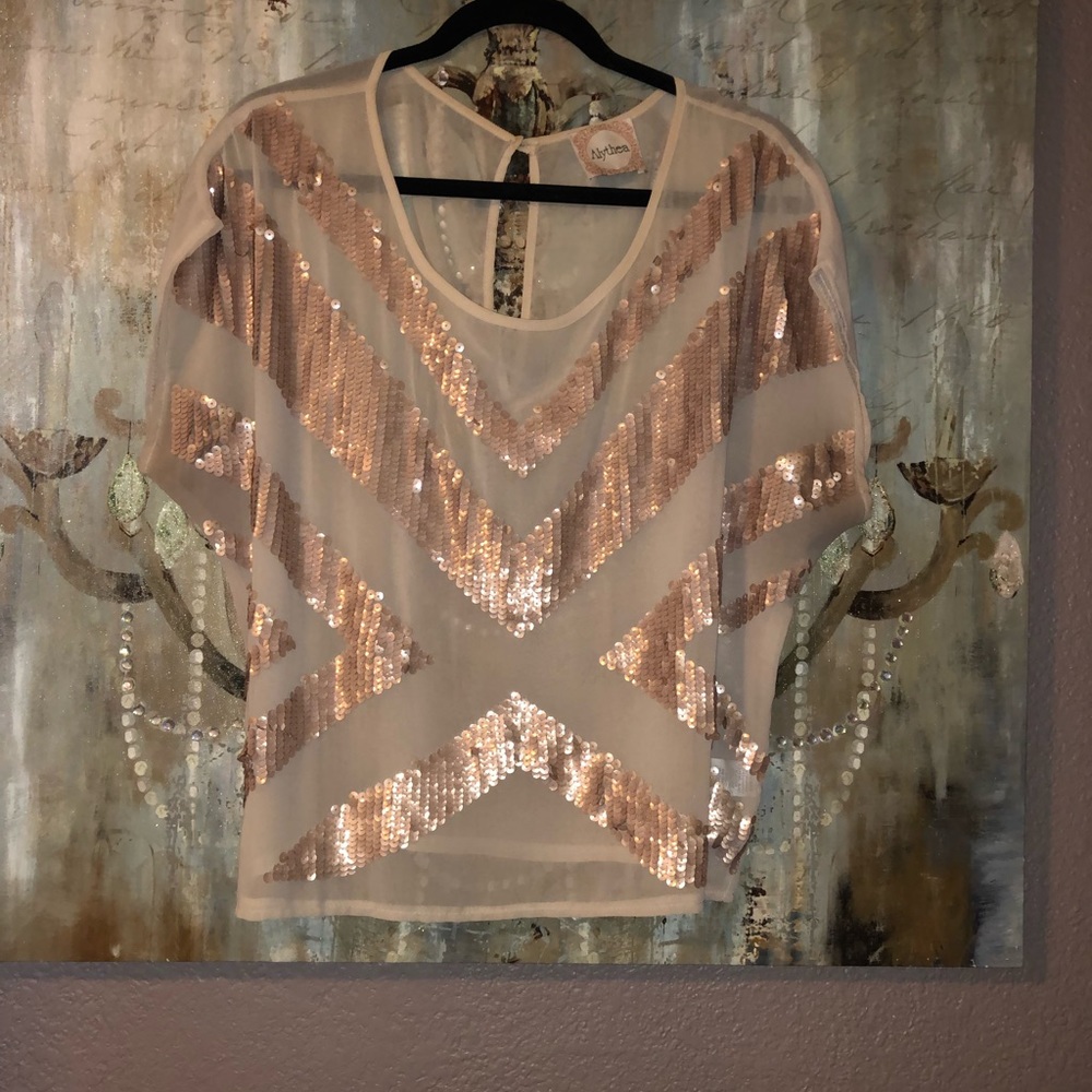 Tan sheer top
